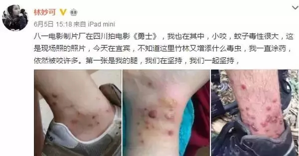 初夏蚊蟲飛舞，一扇紗窗守護你家