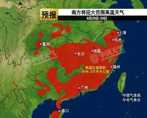 荷風(fēng)送香氣，南方迎高溫